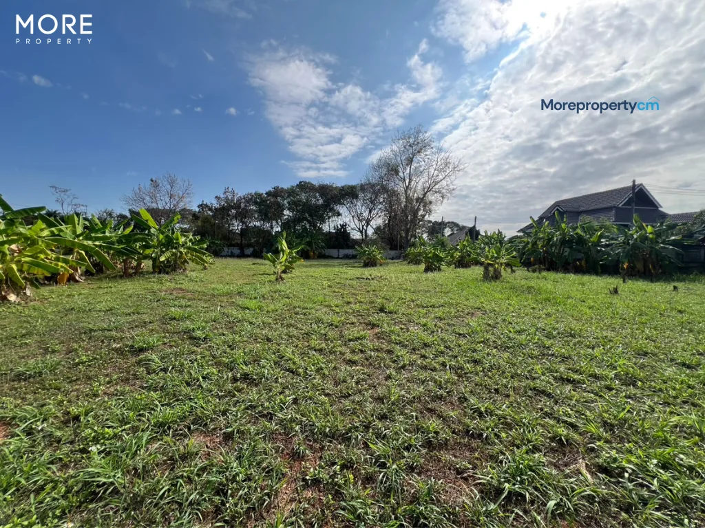ขายที่ดินผืนใหญ่ 9 ไร่เศษ พร้อมโกดัง 2,975 ตร.ม. ทำเลทองติดถนนใหญ่บ้านถวาย-หางดง - 20