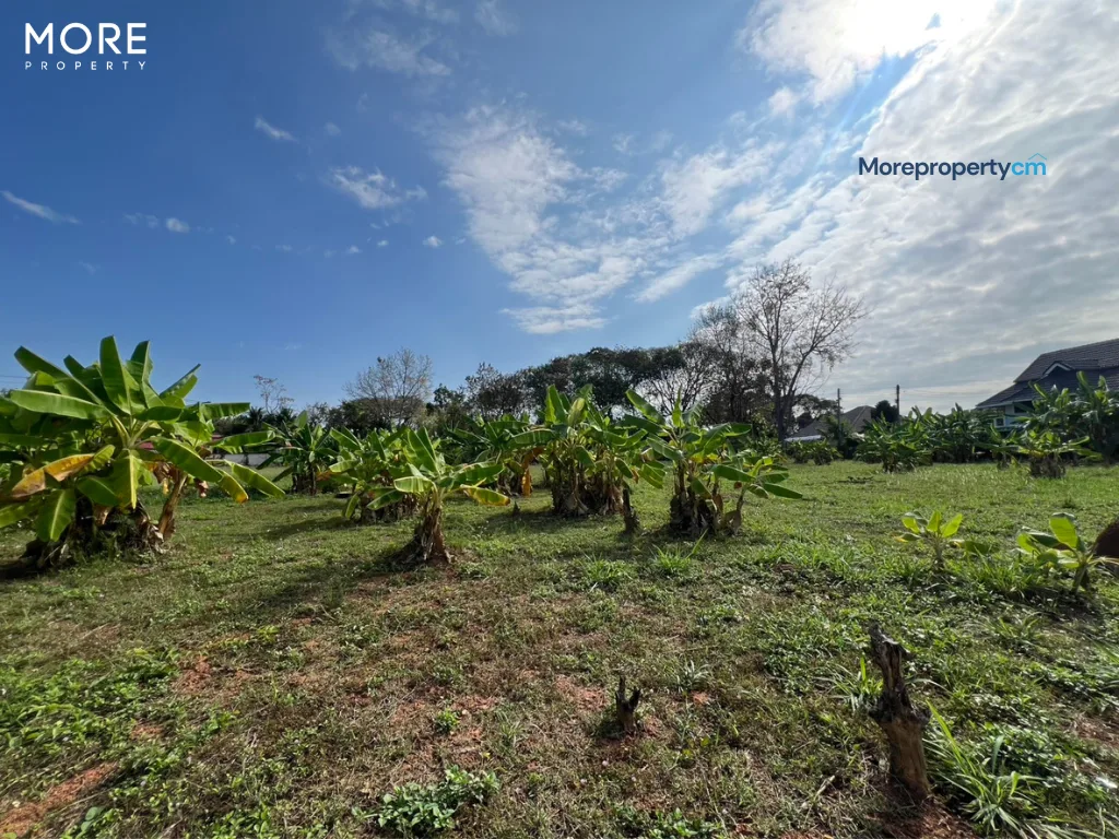 ขายที่ดินผืนใหญ่ 9 ไร่เศษ พร้อมโกดัง 2,975 ตร.ม. ทำเลทองติดถนนใหญ่บ้านถวาย-หางดง - 23