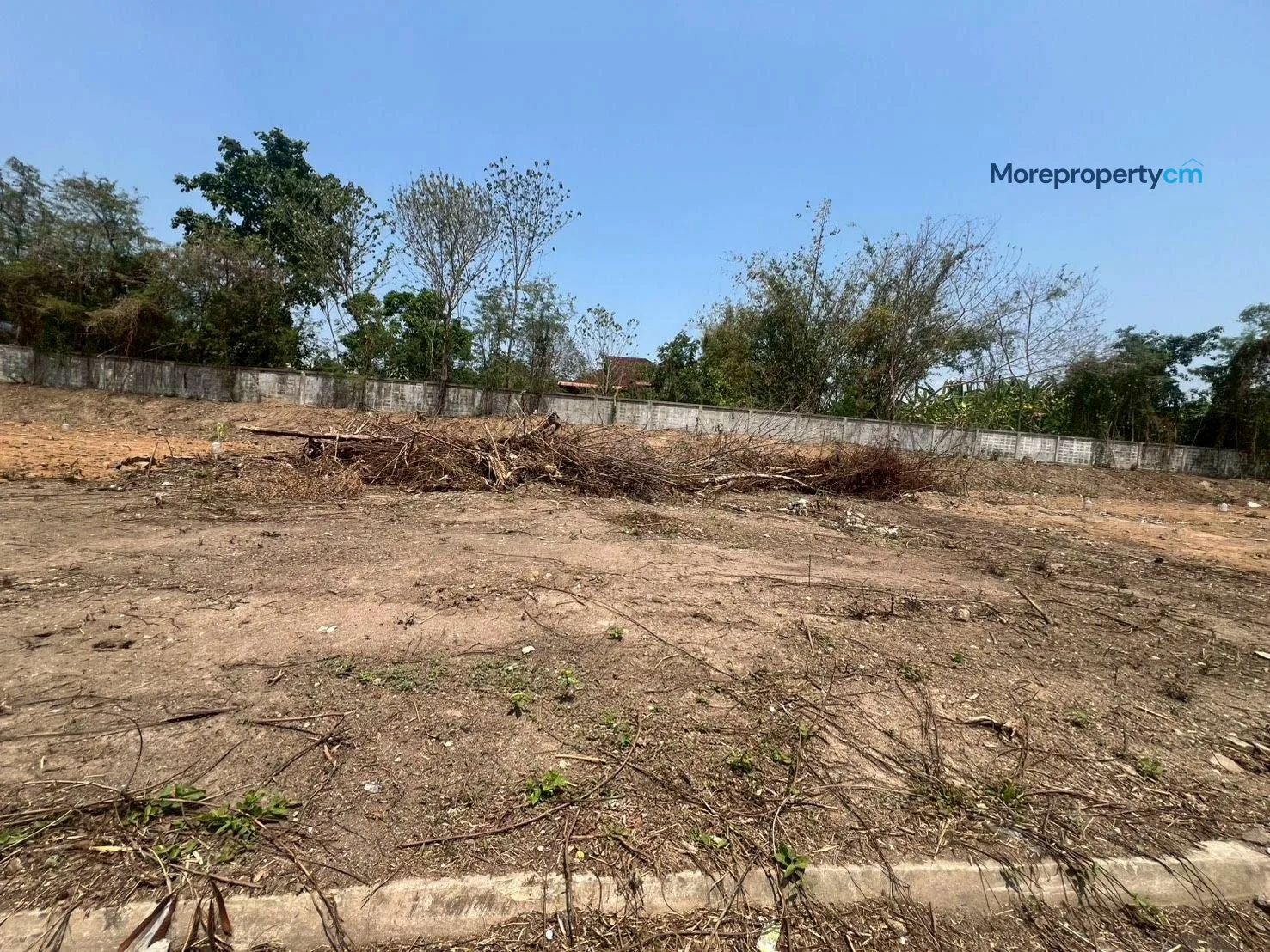 ขายที่ดินเปล่าถมแล้ว อำเภอแม่ริม – เนื้อที่ 1 งาน 62 ตร.ว. ทำเลดี ใกล้ที่ว่าการอำเภอและแหล่งชุมชน - 4
