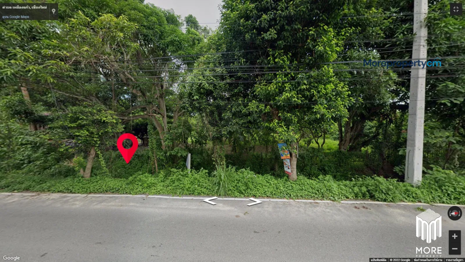 ขายที่ดินผืนใหญ่ริมแม่น้ำปิง ทำเลทองตําบลสันผีเสื้อ – เนื้อที่กว่า 10 ไร่ หน้ากว้างติดน้ำ 120 เมตร พร้อมที่งอกริมน้ำฟรีเกือบ 2 ไร่ - 11