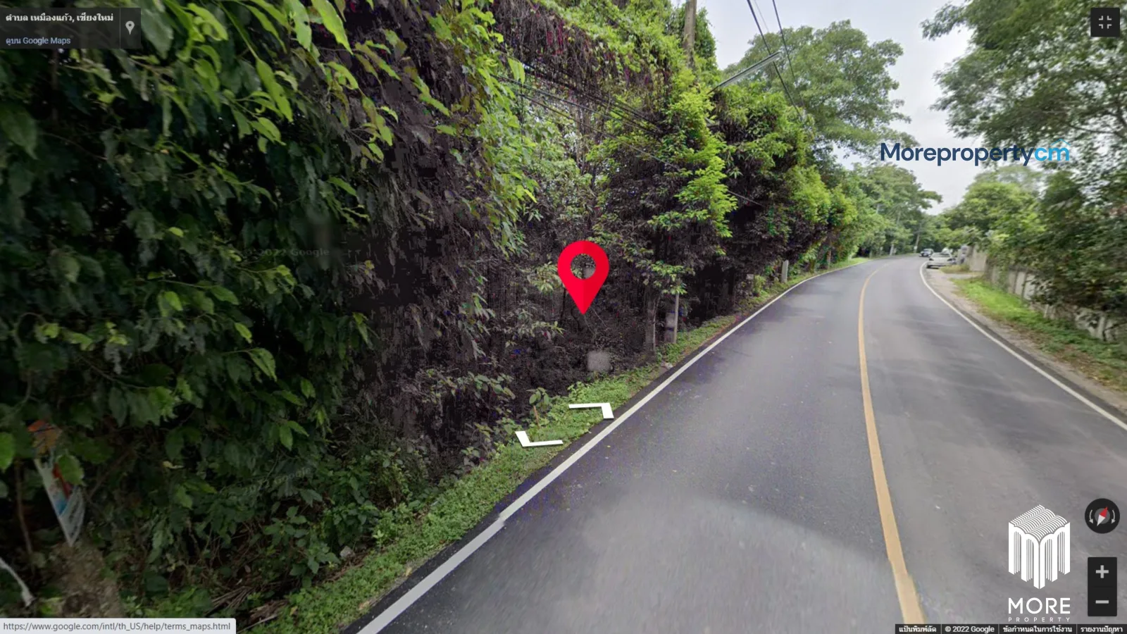 ขายที่ดินผืนใหญ่ริมแม่น้ำปิง ทำเลทองตําบลสันผีเสื้อ – เนื้อที่กว่า 10 ไร่ หน้ากว้างติดน้ำ 120 เมตร พร้อมที่งอกริมน้ำฟรีเกือบ 2 ไร่ - 13