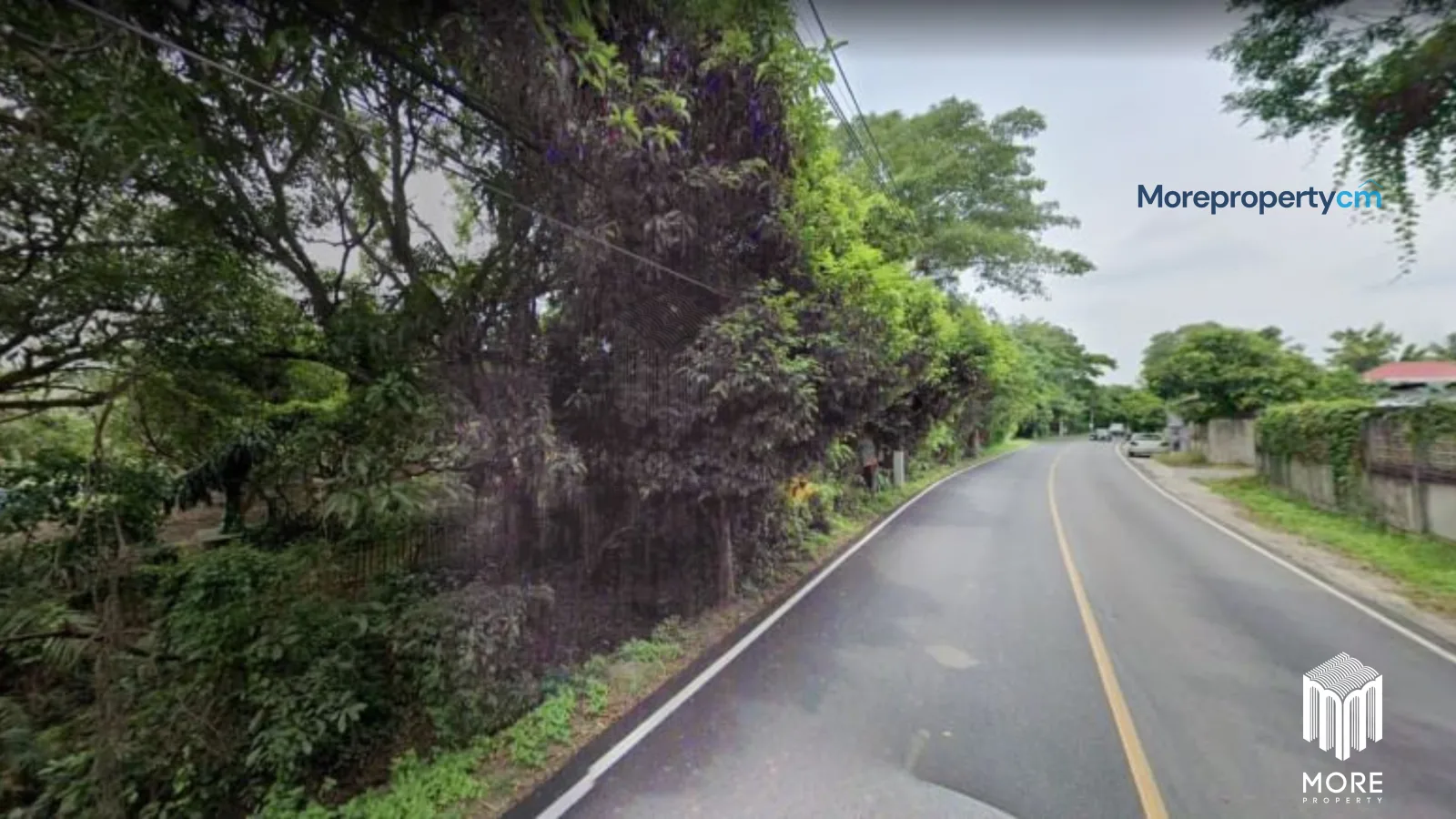 ขายที่ดินผืนใหญ่ริมแม่น้ำปิง ทำเลทองตําบลสันผีเสื้อ – เนื้อที่กว่า 10 ไร่ หน้ากว้างติดน้ำ 120 เมตร พร้อมที่งอกริมน้ำฟรีเกือบ 2 ไร่ - 20