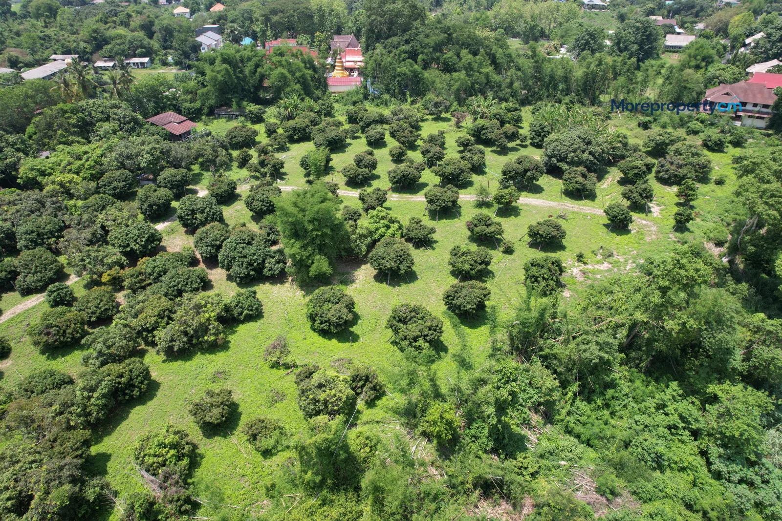 ขายที่ดินผืนใหญ่ริมแม่น้ำปิง ทำเลทองตําบลสันผีเสื้อ – เนื้อที่กว่า 10 ไร่ หน้ากว้างติดน้ำ 120 เมตร พร้อมที่งอกริมน้ำฟรีเกือบ 2 ไร่ - 25