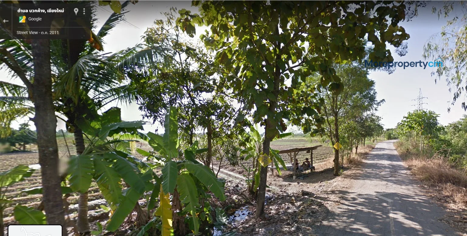 ขายที่ดินผืนใหญ่แปลงสวย สันกำแพง (โซนบวกค้าง) - 5