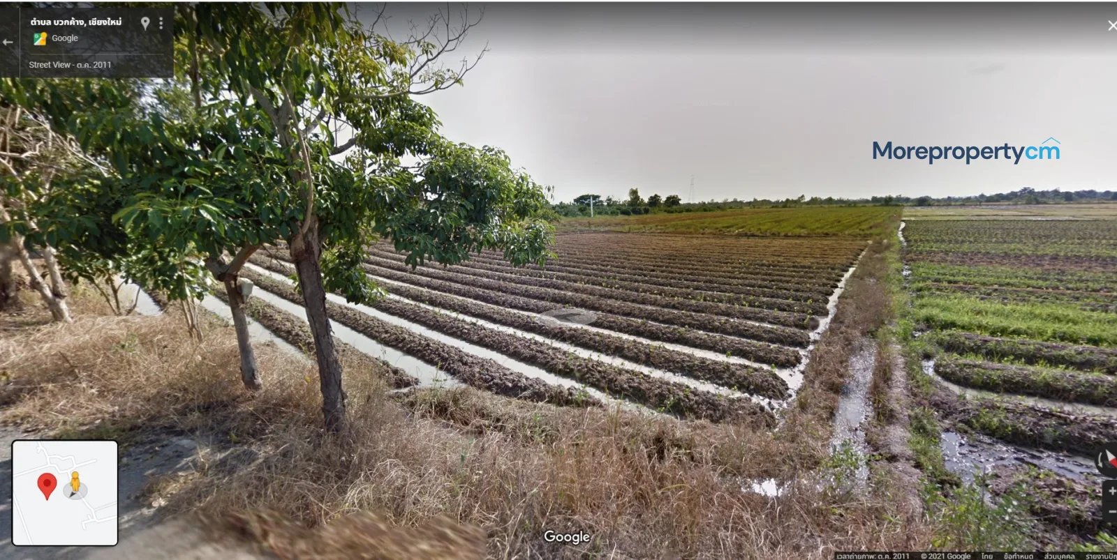 ขายที่ดินผืนใหญ่แปลงสวย สันกำแพง (โซนบวกค้าง) - 6