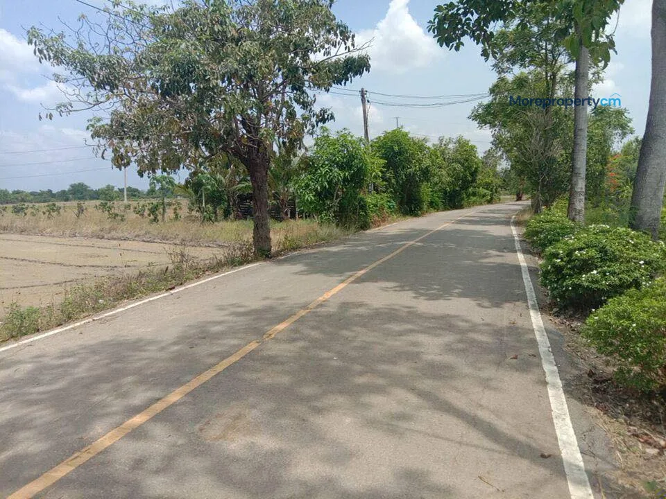 ขายที่ดินผืนใหญ่แปลงสวย สันกำแพง (โซนบวกค้าง) - 12