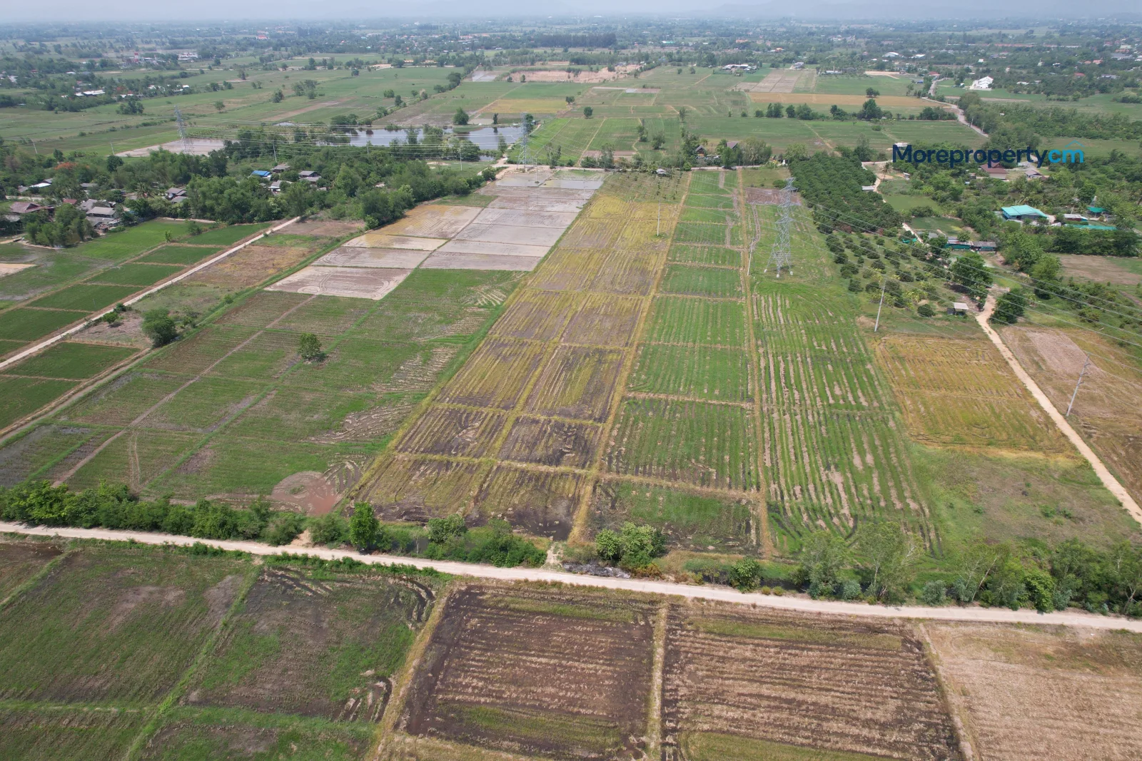 ขายที่ดินผืนใหญ่แปลงสวย สันกำแพง (โซนบวกค้าง) - 20