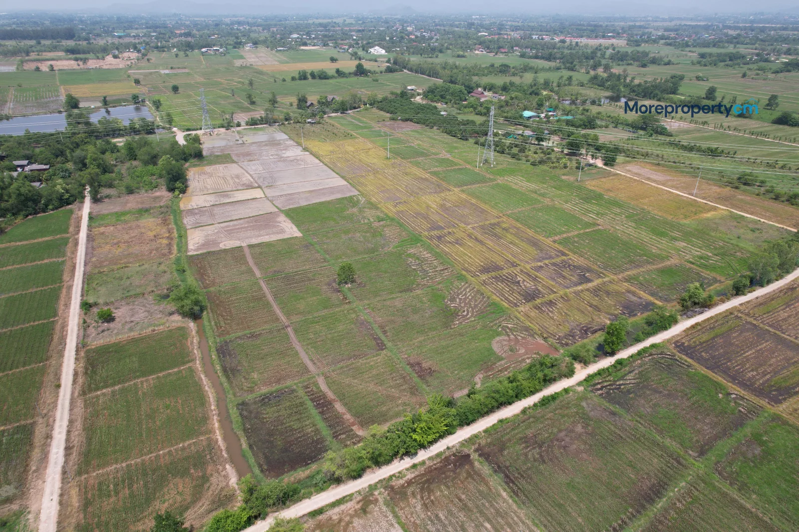 ขายที่ดินผืนใหญ่แปลงสวย สันกำแพง (โซนบวกค้าง) - 21