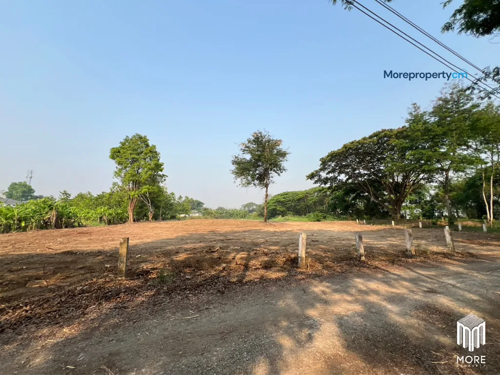 ขายที่ดินถมแล้วแปลงสวย อำเภอสารภี – เนื้อที่ 1 ไร่ 3 งาน 96 ตร.ว. ทำเลเด่นติดถนนวงแหวนรอบ 2 - 15