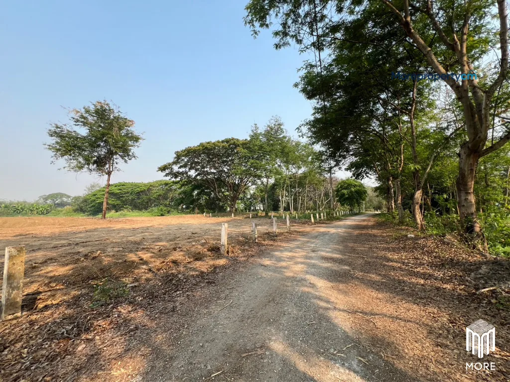 ขายที่ดินถมแล้วแปลงสวย อำเภอสารภี – เนื้อที่ 1 ไร่ 3 งาน 96 ตร.ว. ทำเลเด่นติดถนนวงแหวนรอบ 2 - 17