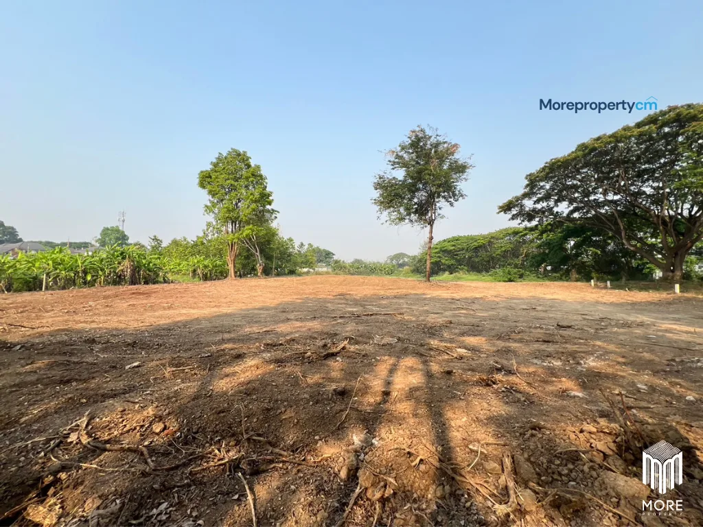 ขายที่ดินถมแล้วแปลงสวย อำเภอสารภี – เนื้อที่ 1 ไร่ 3 งาน 96 ตร.ว. ทำเลเด่นติดถนนวงแหวนรอบ 2 - 18
