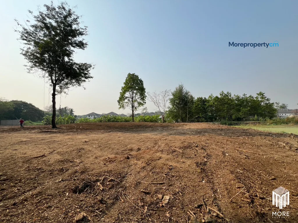 ขายที่ดินถมแล้วแปลงสวย อำเภอสารภี – เนื้อที่ 1 ไร่ 3 งาน 96 ตร.ว. ทำเลเด่นติดถนนวงแหวนรอบ 2 - 21
