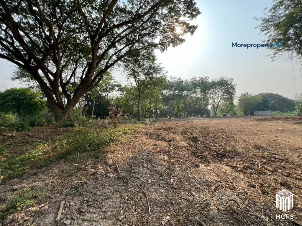 ขายที่ดินถมแล้วแปลงสวย อำเภอสารภี – เนื้อที่ 1 ไร่ 3 งาน 96 ตร.ว. ทำเลเด่นติดถนนวงแหวนรอบ 2 - 25