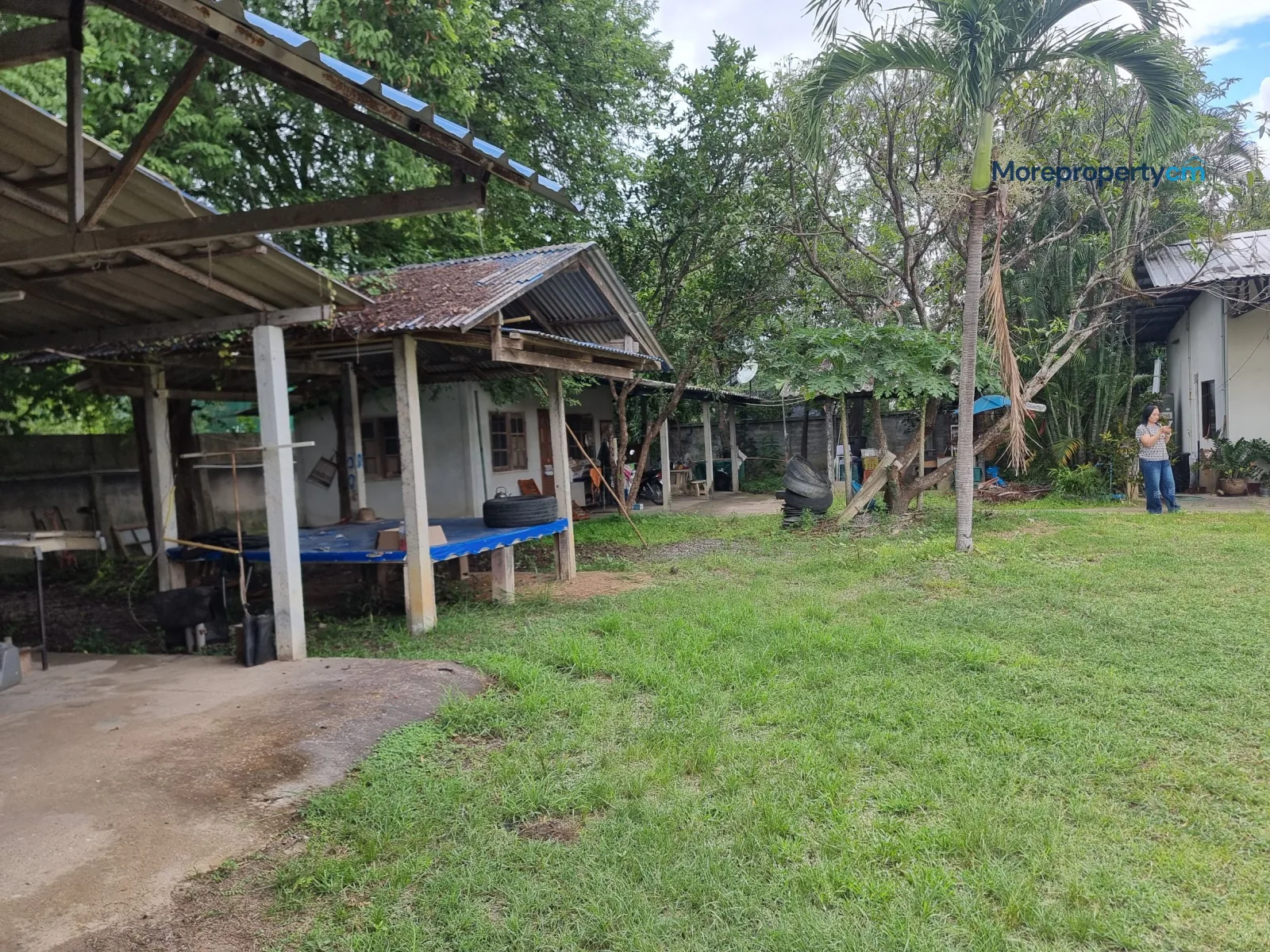 ขาย ที่ดิน สันป่าตอง เชียงใหม่ 1 ไร่ 1 งาน 63 ตร.ว. พร้อมสิ่งปลูกสร้าง - 6