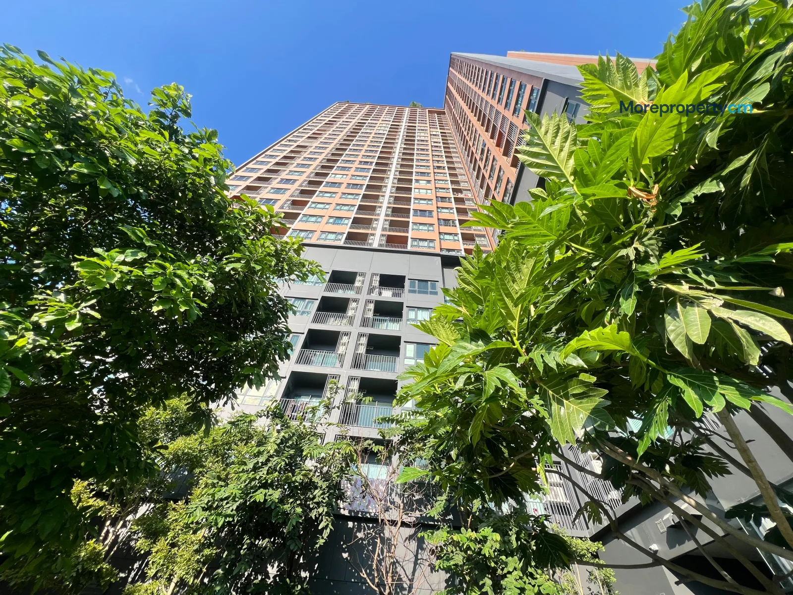 ให้เช่า เดอะ เบส ไฮท์ เชียงใหม่ 1 ห้องนอน 34 ตร.ม. ชั้น 25 วิวสวย ใกล้เซ็นทรัล [ID: 659CR] - 24