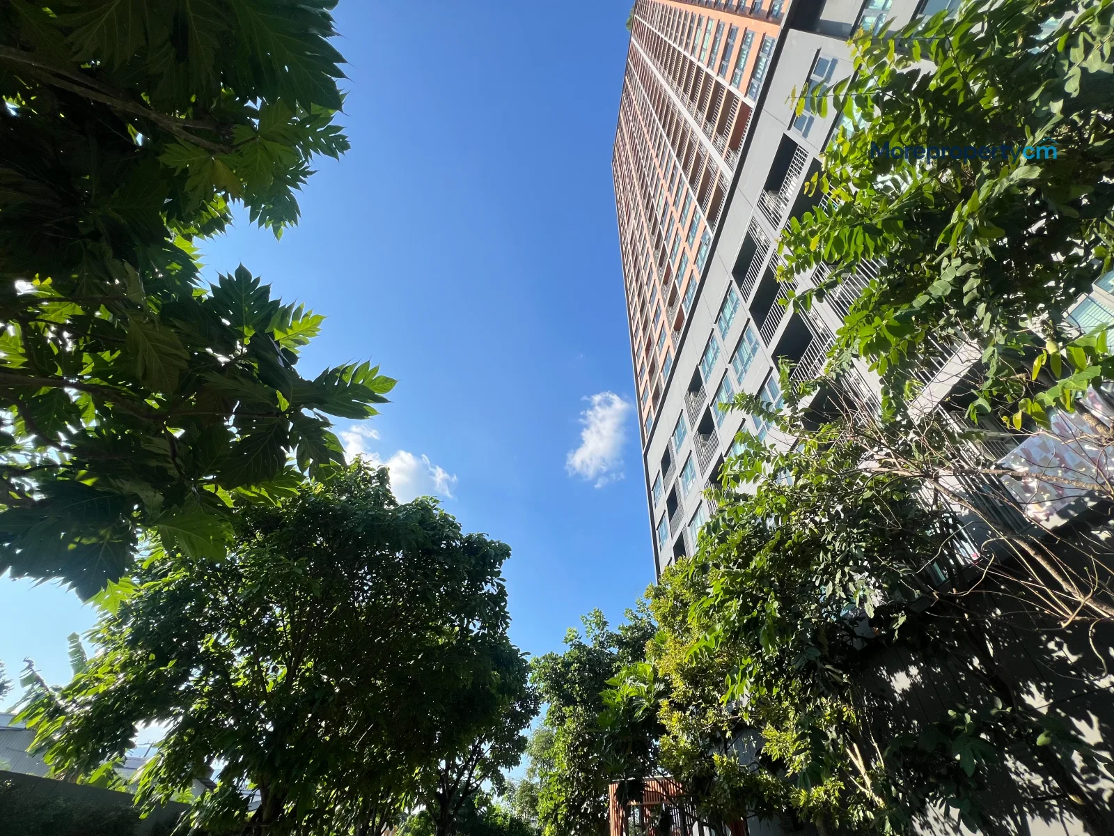 ให้เช่า เดอะ เบส ไฮท์ เชียงใหม่ 1 ห้องนอน 34 ตร.ม. ชั้น 25 วิวสวย ใกล้เซ็นทรัล [ID: 659CR] - 26