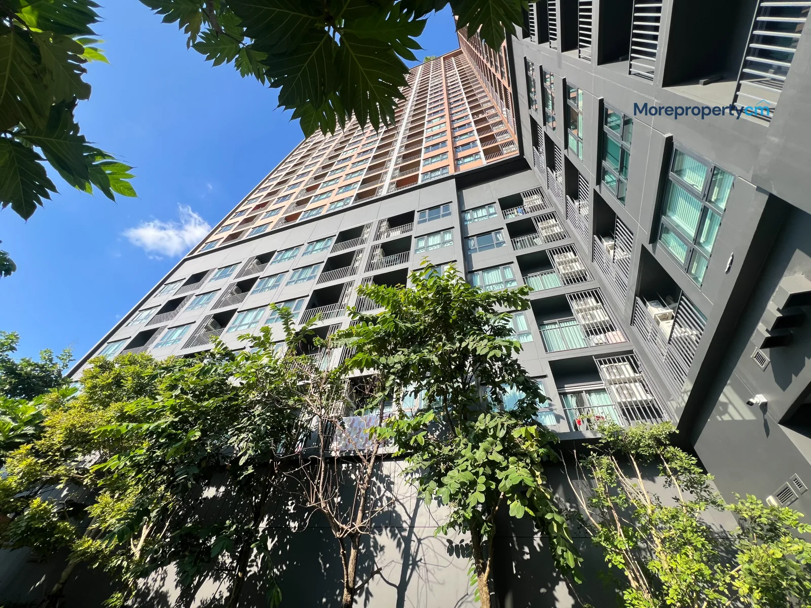 ให้เช่า เดอะ เบส ไฮท์ เชียงใหม่ 1 ห้องนอน 34 ตร.ม. ชั้น 25 วิวสวย ใกล้เซ็นทรัล [ID: 659CR] - 27