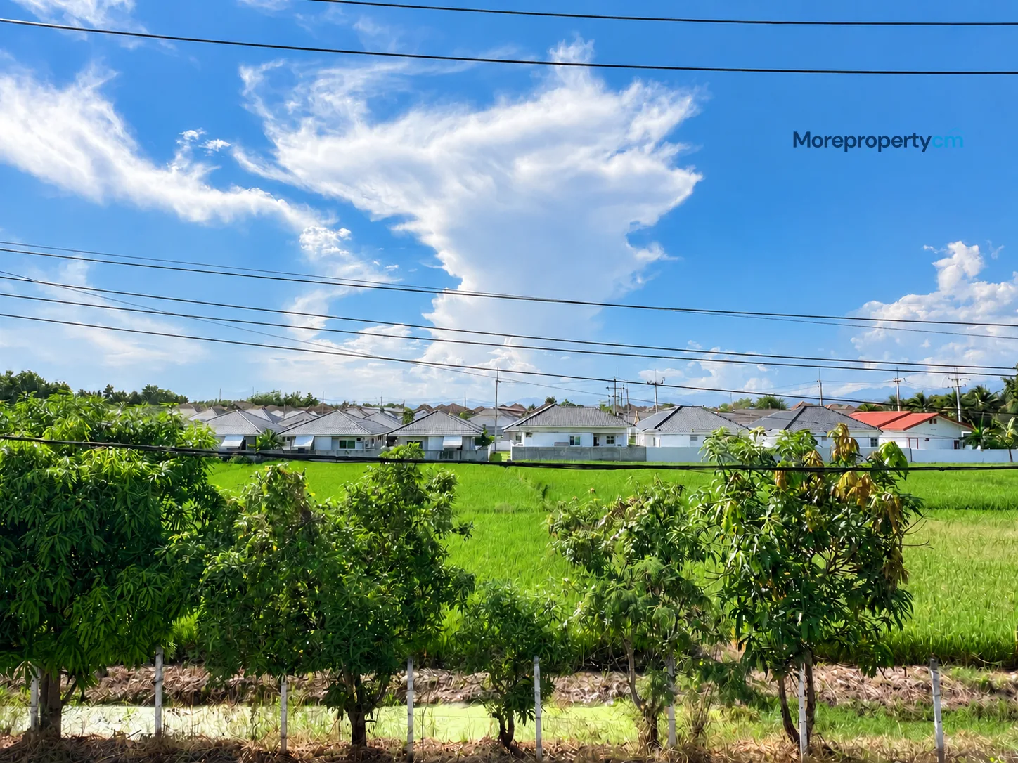 ให้เช่าบ้านเดี่ยว 2 ชั้น สไตล์โมเดิร์น วิวทุ่งนา หางดง - 12